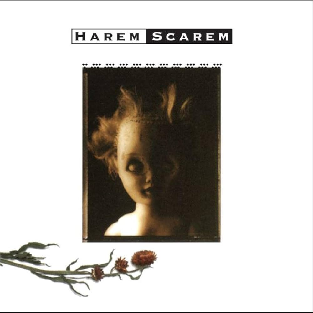 Harem Scarem ハーレム・スキャーレム CDまとめ売り 9枚セット Amazon.co.jp: Harem Scarem : Harem Scarem: 本
